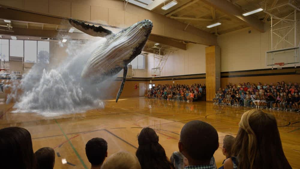 AR (augmented reality)